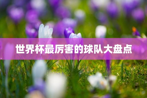 世界杯最厉害的球队大盘点