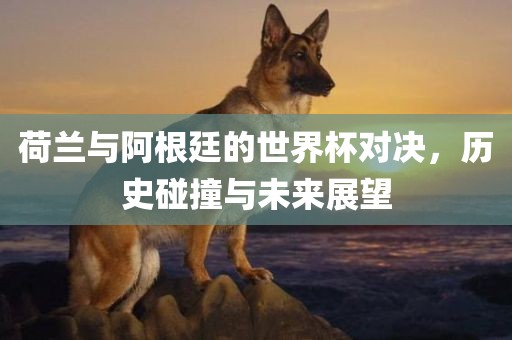 荷兰与阿根廷的世界杯对决，历史碰撞与未来展望