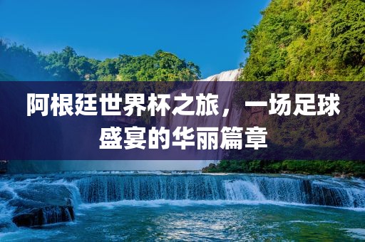 阿根廷世界杯之旅，一场足球盛宴的华丽篇章