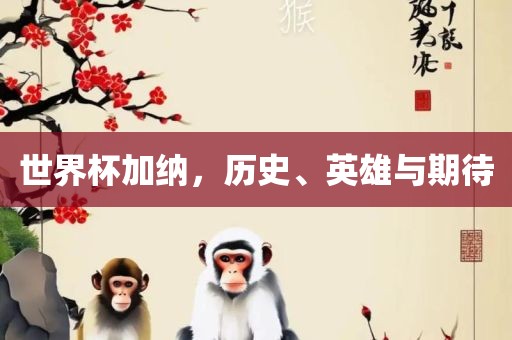 世界杯加纳，历史、英雄与期待漯河市盈旭机械设备有限公司