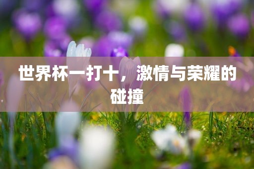 世界杯一打十，激情与荣耀的碰撞