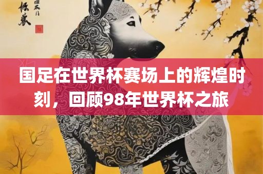 国足在世界杯赛场上的辉煌时刻，回顾98年世界杯之旅