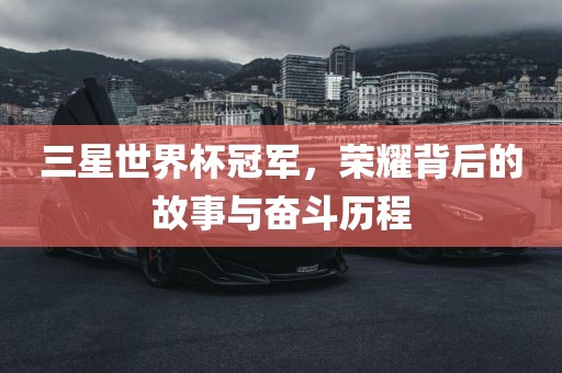 三星世界杯冠军，荣耀背后的故事与奋斗历程