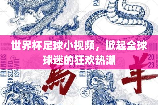 世界杯足球小视频，掀起全球球迷的狂欢热潮