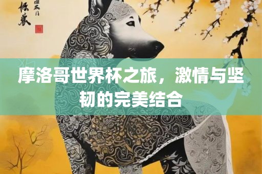 摩洛哥世界杯之旅，激情与坚韧的完美结合漯河市盈旭机械设备有限公司