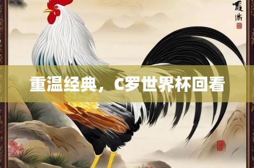 重温经典，C罗世界杯回看