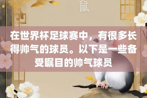 在世界杯足球赛中，有很多长得帅气的球员。以下是一些备受瞩目的帅气球员