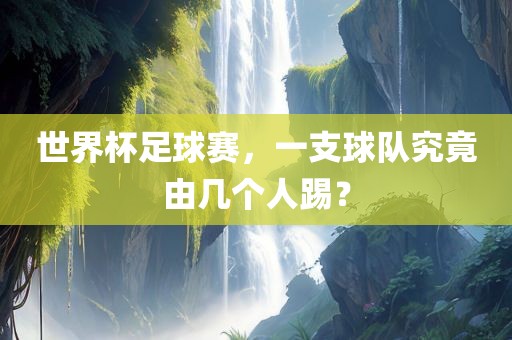 世界杯足球赛，一支球队究竟由几个人踢？