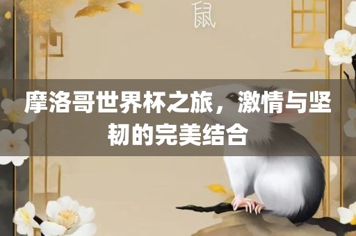 huamei 第6页