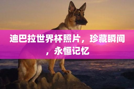 迪巴拉世界杯照片，珍藏瞬间，永恒记忆