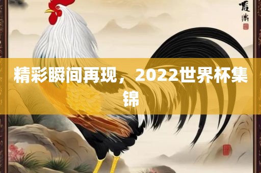 精彩瞬间再现，2022世界杯集锦