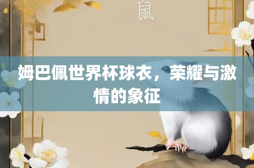 姆巴佩世界杯球衣，荣耀与激情的象征
