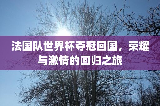 法国队世界杯夺冠回国，荣耀与激情的回归之旅