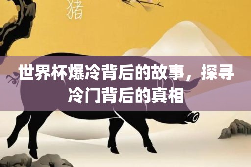世界杯爆冷背后的故事，探寻冷门背后的真相漯河市盈旭机械设备有限公司