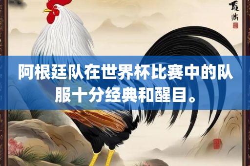 阿根廷队在世界杯比赛中的队服十分经典和醒目。