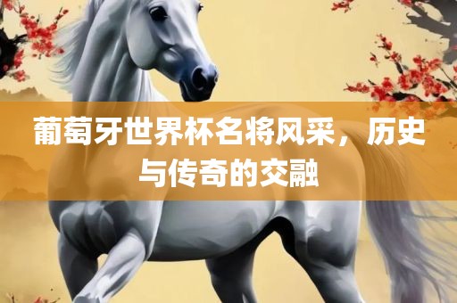 葡萄牙世界杯名将风采，历史与传奇的交融