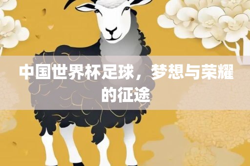 中国世界杯足球，梦想与荣耀的征途漯河市盈旭机械设备有限公司