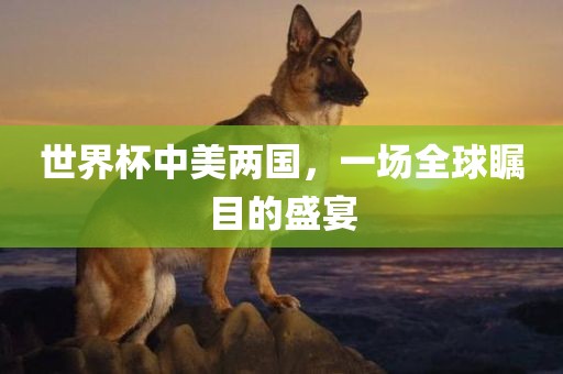 世界杯中美两国，一场全球瞩目的盛宴