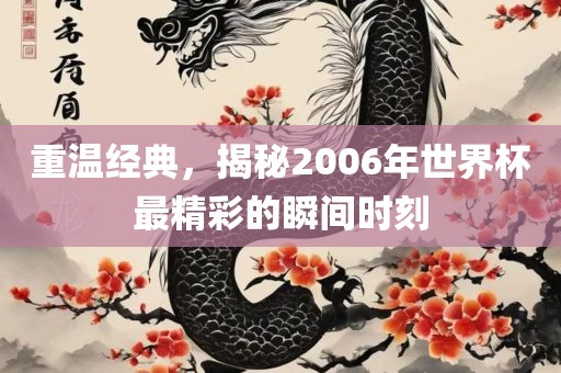 重温经典，揭秘2006年世界杯最精彩的瞬间时刻