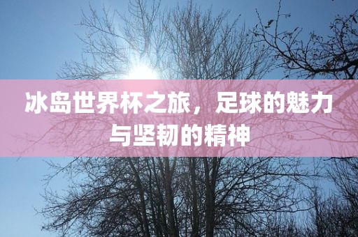 冰岛世界杯之旅，足球的魅力与坚韧的精神漯河市盈旭机械设备有限公司