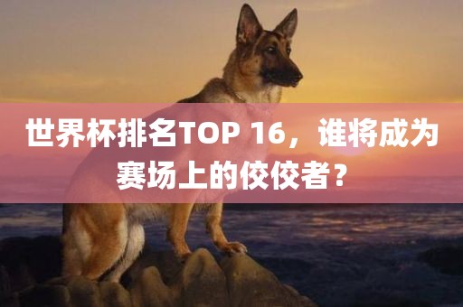 世界杯排名TOP 16，谁将成为赛场上的佼佼者？