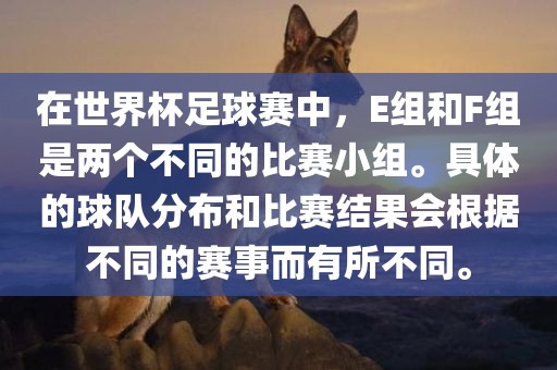 在世界杯足球赛中，E组和F组是两个不同的比赛小组。具体的球队分布和比赛结果会根据不同的赛事而有所不同。