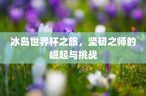冰岛世界杯之旅，坚韧之师的崛起与挑战