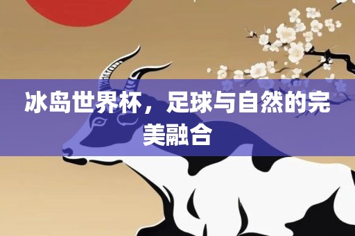 冰岛世界杯，足球与自然的完美融合