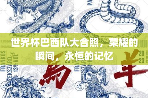 世界杯巴西队大合照，荣耀的瞬间，永恒的记忆