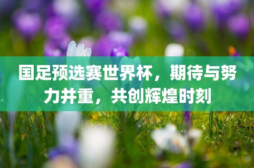 国足预选赛世界杯，期待与努力并重，共创辉煌时刻