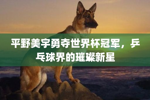 平野美宇勇夺世界杯冠军，乒乓球界的璀璨新星
