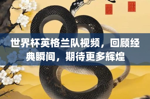 世界杯英格兰队视频，回顾经典瞬间，期待更多辉煌