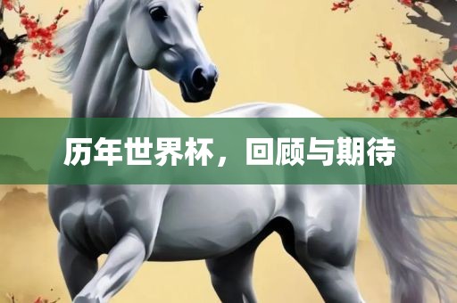 历年世界杯，回漯河市盈旭机械设备有限公司顾与期待