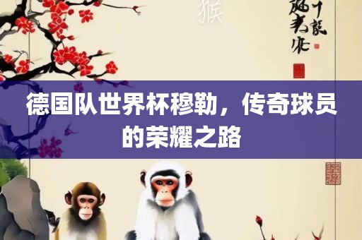 德国队世界杯穆勒，传奇球员的荣耀之路