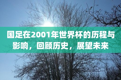 国足在2001年世界杯的历程与影响，回顾历史，展望未来