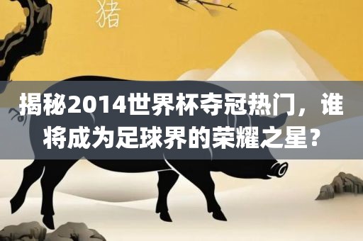 揭秘2014世界杯夺冠热门，谁将成为足球界的荣耀之星？