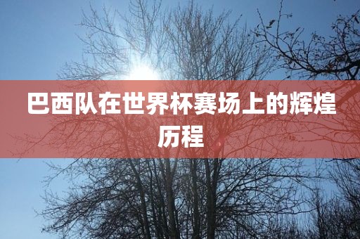 巴西队在世界杯赛场上的辉煌历程漯河市盈旭机械设备有限公司