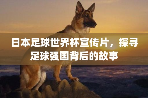 日本足球世界杯宣传片，探寻足球强国背后的故事