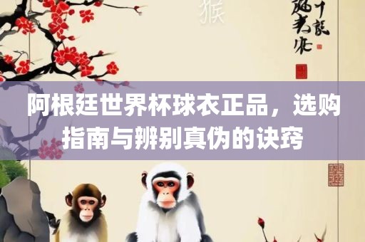 阿根廷世界杯球衣正品，选购指南与辨别真伪的诀窍