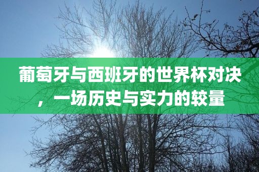 葡萄牙与西班牙的世界杯对决，一场历史与实力的较量