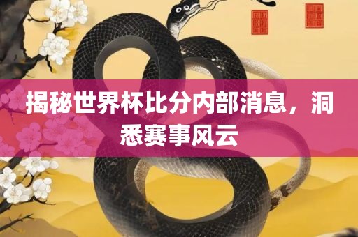 揭秘世界杯比分内部消息，洞悉赛事风云