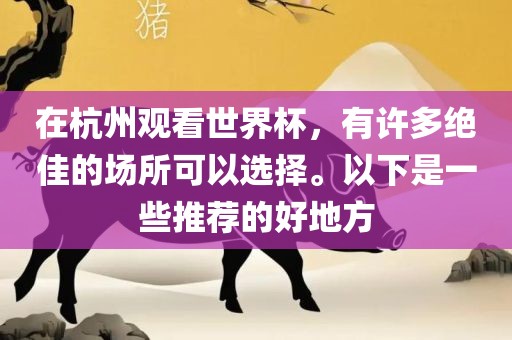 在杭州观看世界杯，有许多绝佳的场所可以选择。以下是一些推荐的好地方