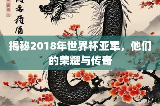 揭秘2018年世界杯亚军，他们的荣耀与传奇