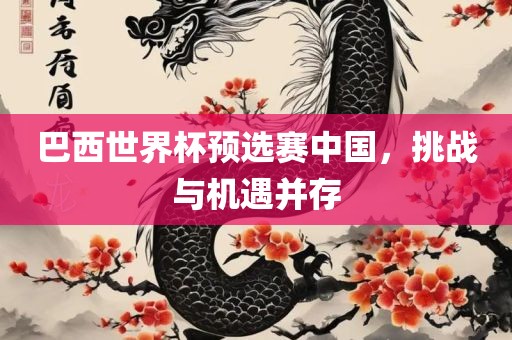 巴西世界杯预选赛中国，挑战与机遇并存