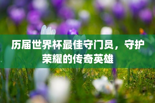 历届世界杯最佳守门员，守护荣耀的传奇英雄