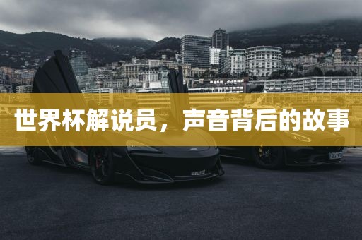 世界杯解说员，声音背后的漯河市盈旭机械设备有限公司故事