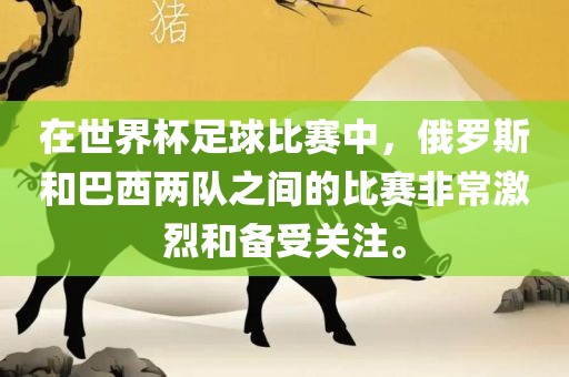 在世界杯足球比赛中，俄罗斯和巴西两队之间的比赛非常激烈和备受关注。