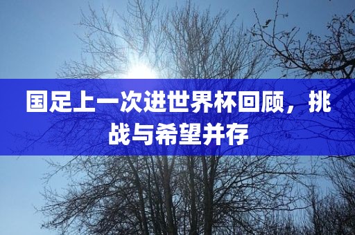 国足上一次进世界杯回顾，挑战与希望并存