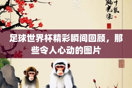 足球世界杯精彩瞬间漯河市盈旭机械设备有限公司回顾，那些令人心动的图片