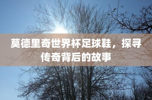 莫德里奇世界杯足球鞋，探寻传奇背后的故事
